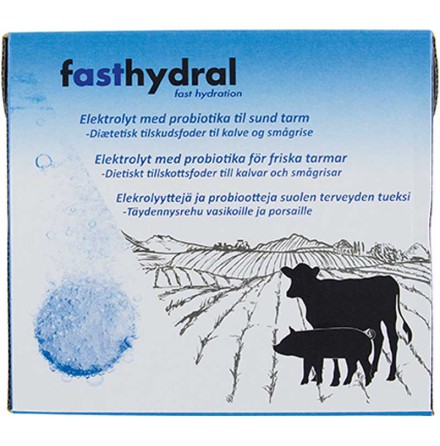 Fasthydral Elektrolyter 42-pack