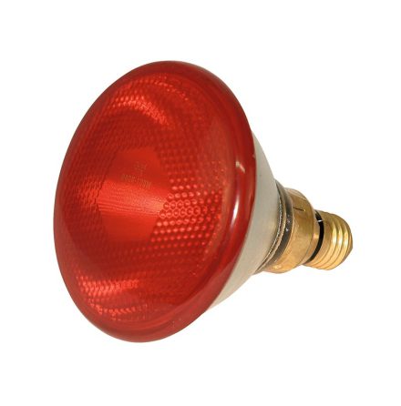 Värmelampa Glödlampa Kerbl IR/PAR Röd 175 Watt